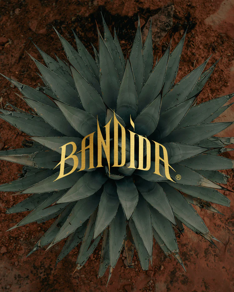 Bandida Mezcal Case Study